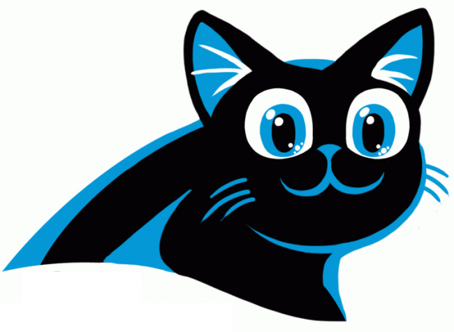 Carolina Panthers Anime Logo DIY iron on transfer (heat transfer)